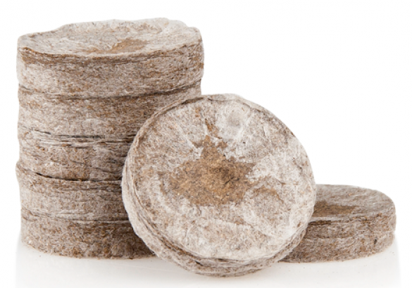 Jiffy Torfquelltabs 12 Stk. Jiffy Anzuchtwürfel, Quelltöpfe aus Torf, 12 Stk
